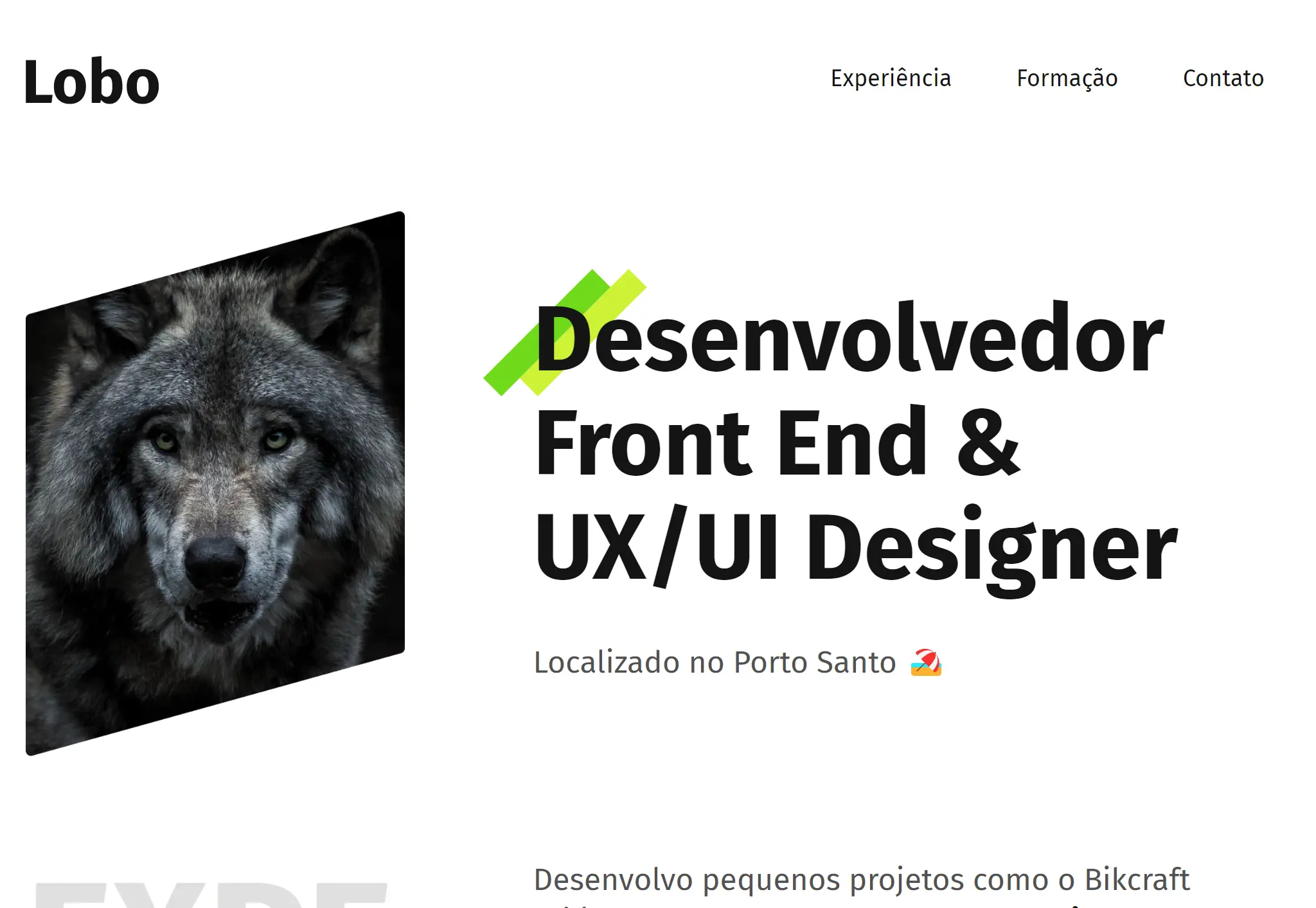 Portfolio image of Lobo website